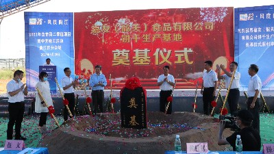 yp�ֻ����޹�˾�عس������ص������Բ���ɹ���