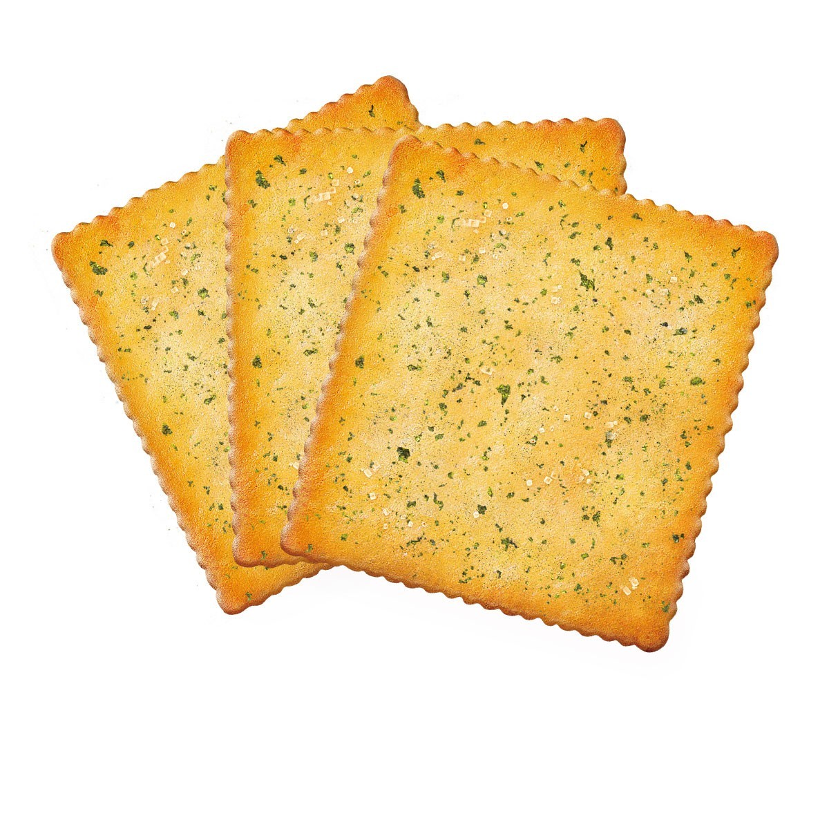 ����1MM��ʽ�����ĥ�������