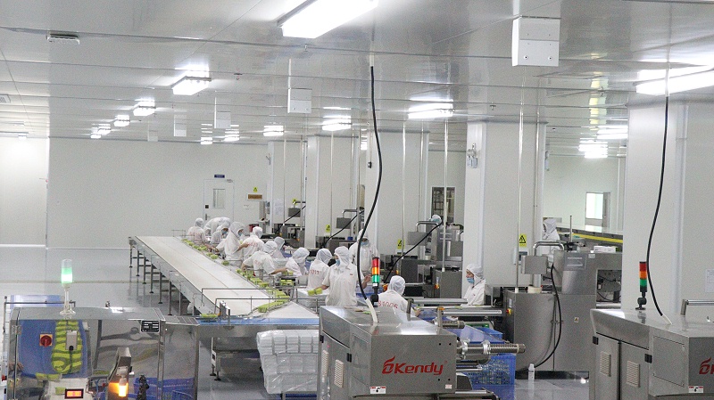 yp�ֻ���������