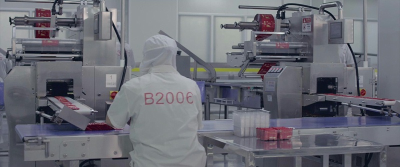 yp�ֻ���������