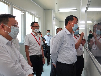 �ع�����������������yp�ֻ�