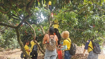 ���縣����yp�ֻ���֯ժ��֦�