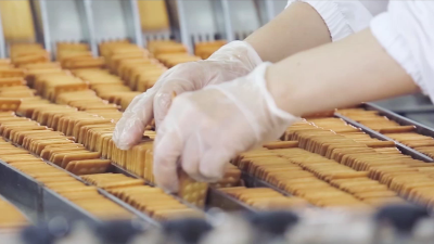 yp�ֻ�������·��������